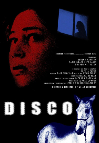 Disco 2025