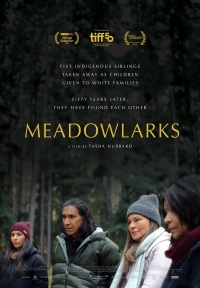 Meadowlarks 2025