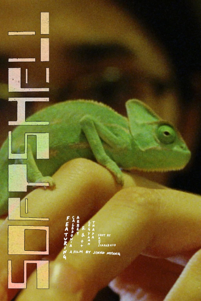 Softshell 2024
